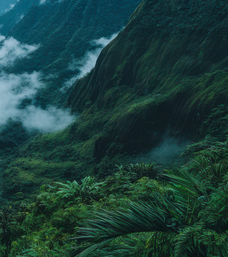 Greendata | Driving Global Sustainability With Advanced Analytics