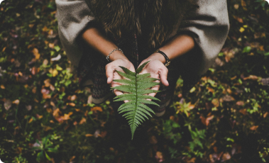 Greendata | Driving Global Sustainability With Advanced Analytics